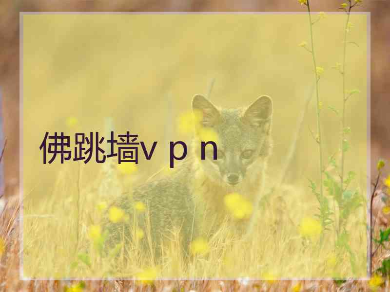 佛跳墙v p n