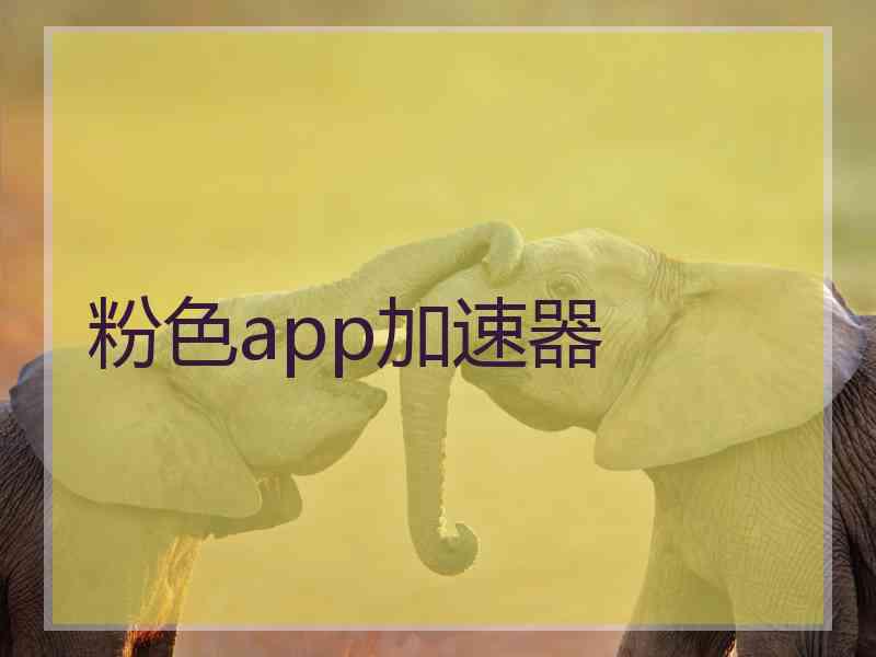 粉色app加速器