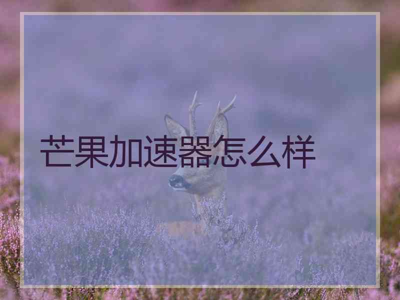 芒果加速器怎么样