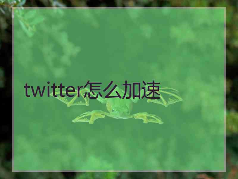 twitter怎么加速