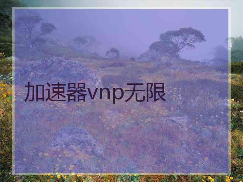 加速器vnp无限