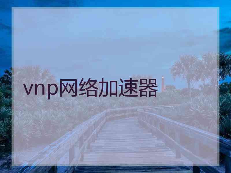 vnp网络加速器