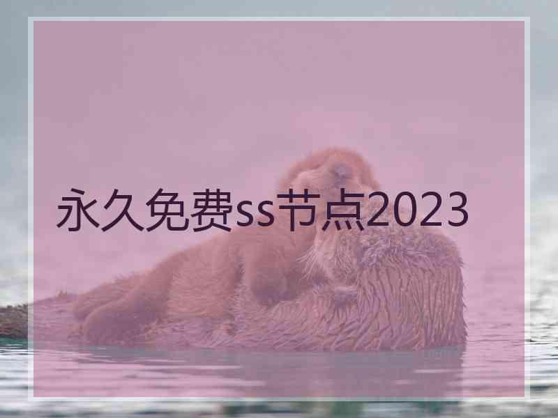 永久免费ss节点2023