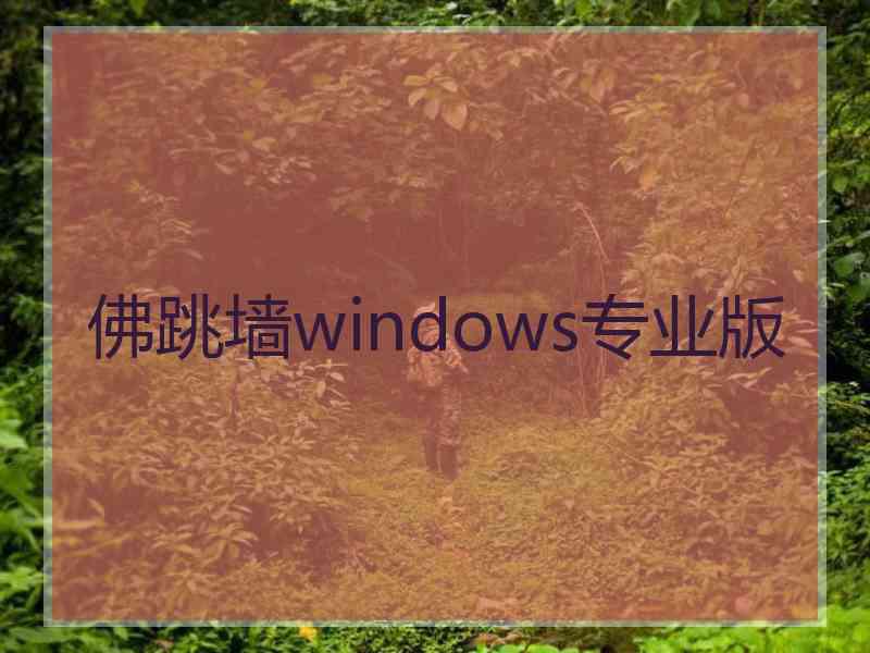 佛跳墙windows专业版