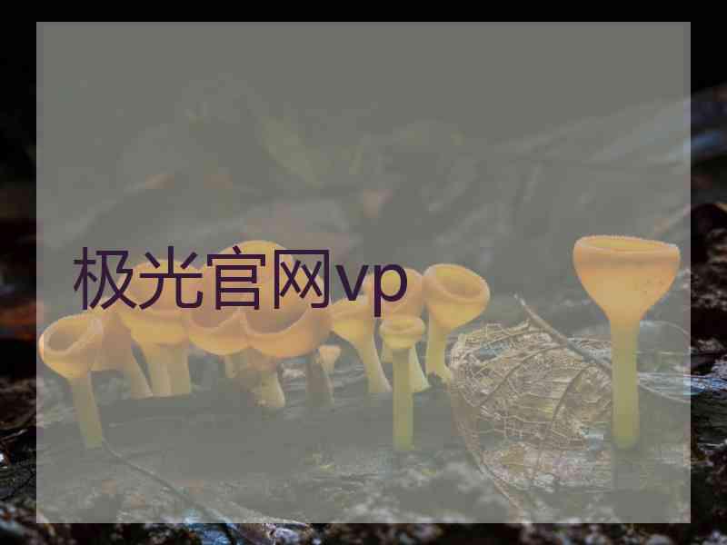 极光官网vp