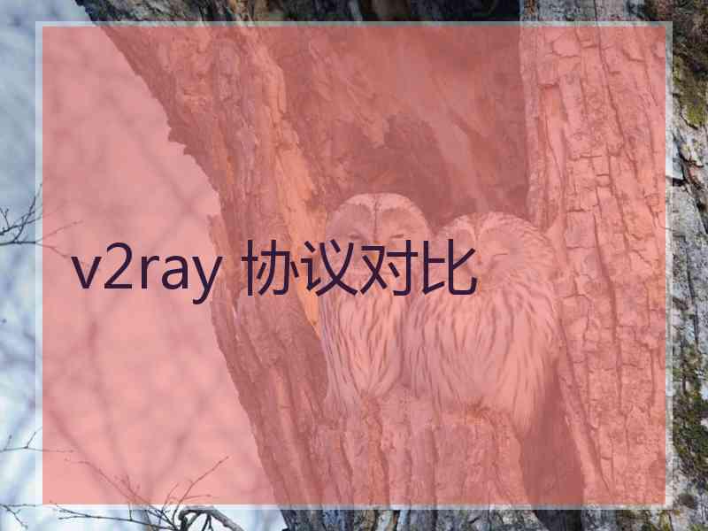 v2ray 协议对比