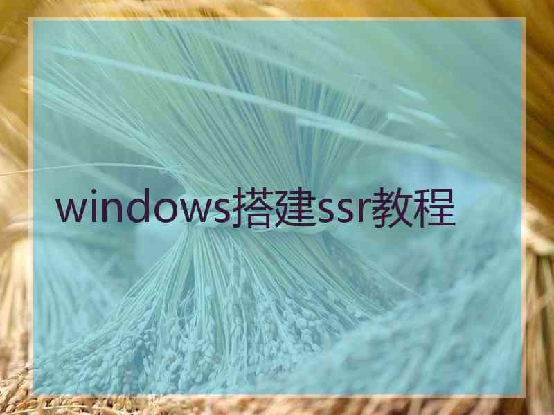 windows搭建ssr教程