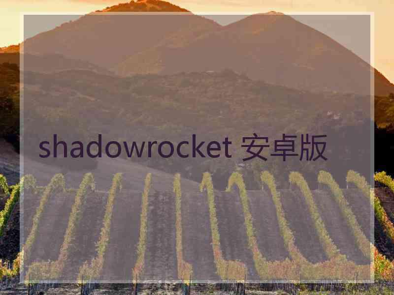 shadowrocket 安卓版