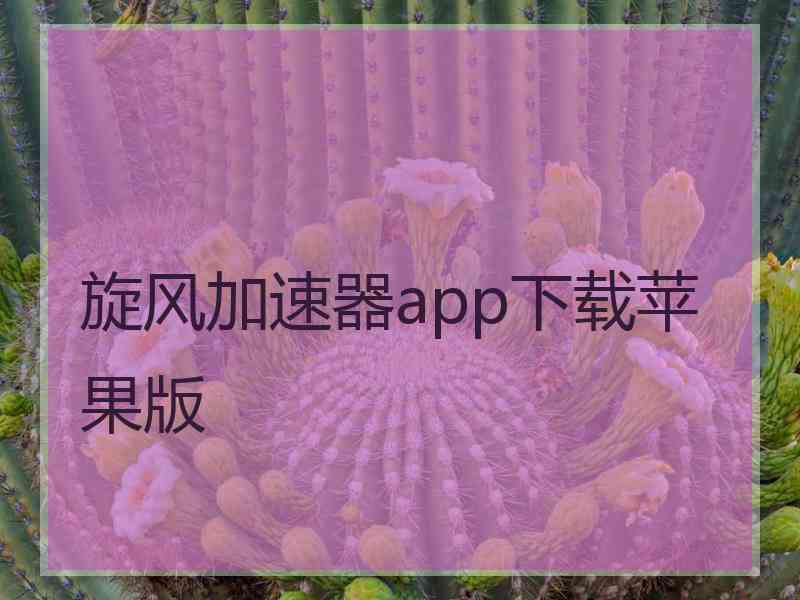 旋风加速器app下载苹果版