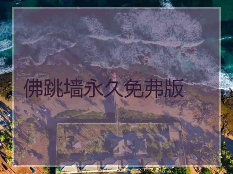 佛跳墙永久免弗版