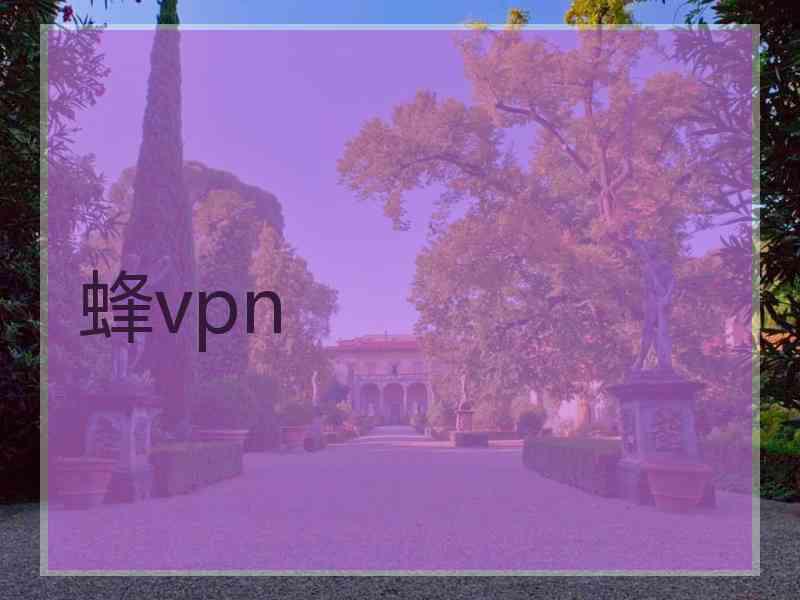 蜂vpn