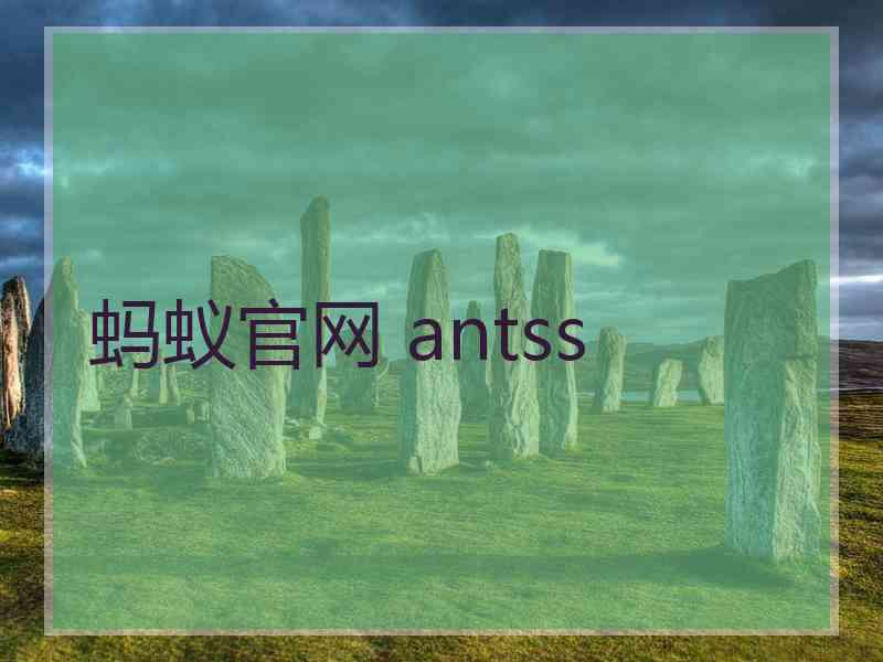 蚂蚁官网 antss