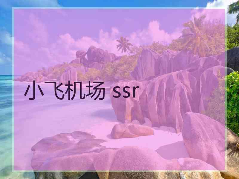 小飞机场 ssr