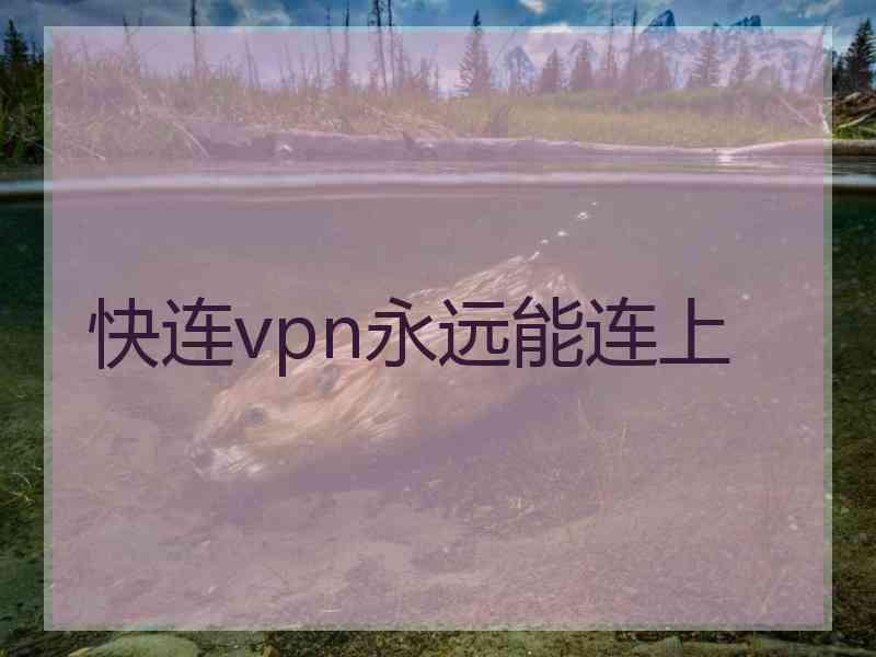 快连vpn永远能连上