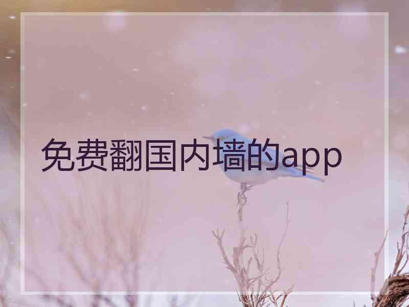 免费翻国内墙的app