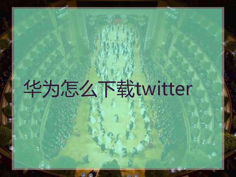 华为怎么下载twitter