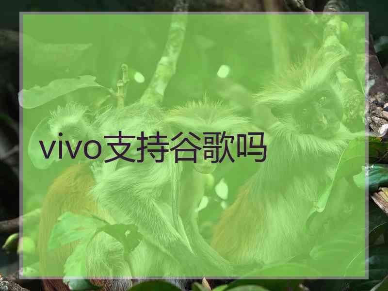 vivo支持谷歌吗