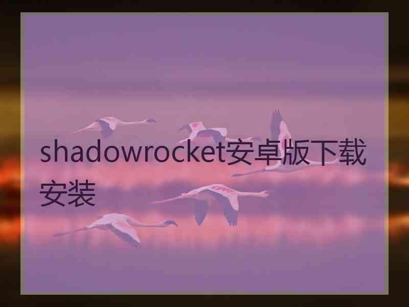 shadowrocket安卓版下载安装