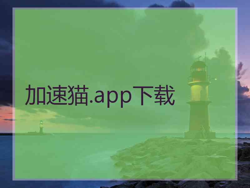 加速猫.app下载