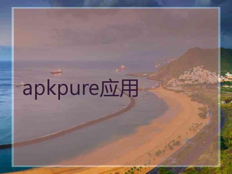 apkpure应用