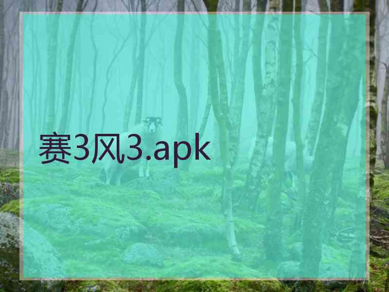 赛3风3.apk