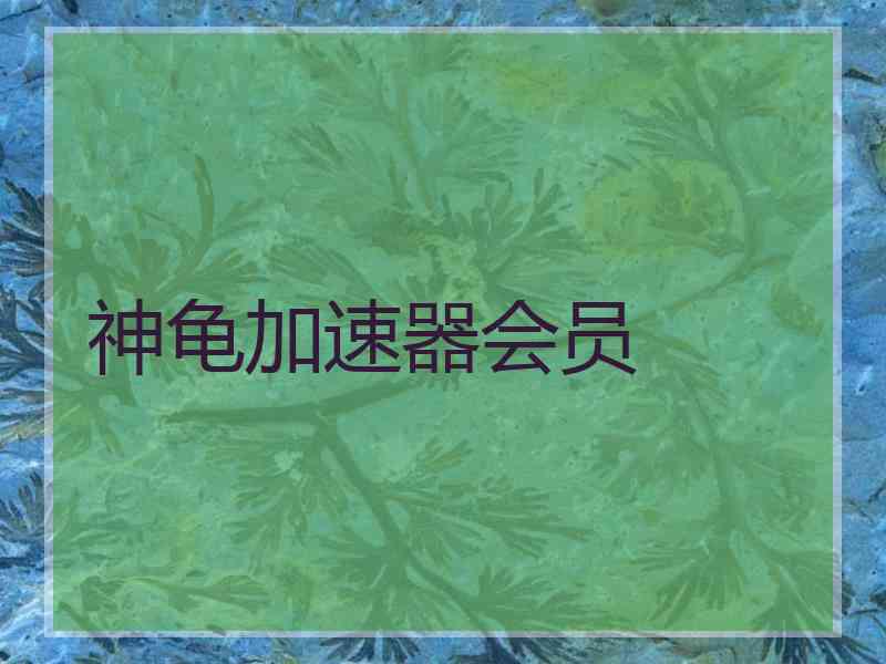 神龟加速器会员