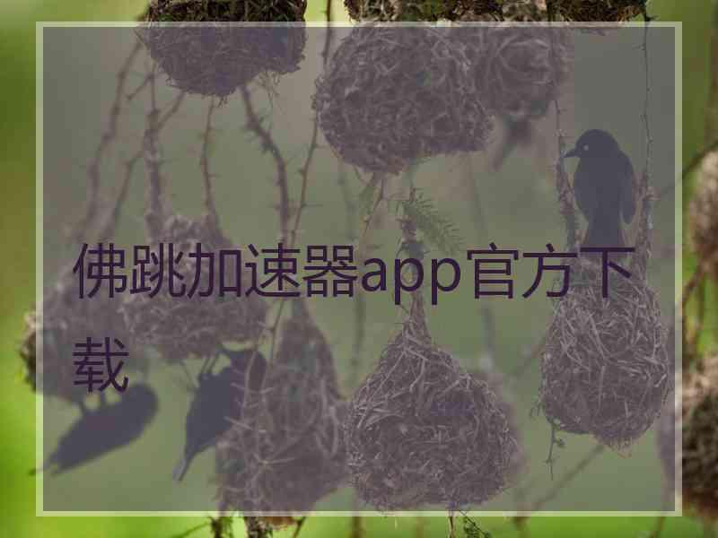 佛跳加速器app官方下载