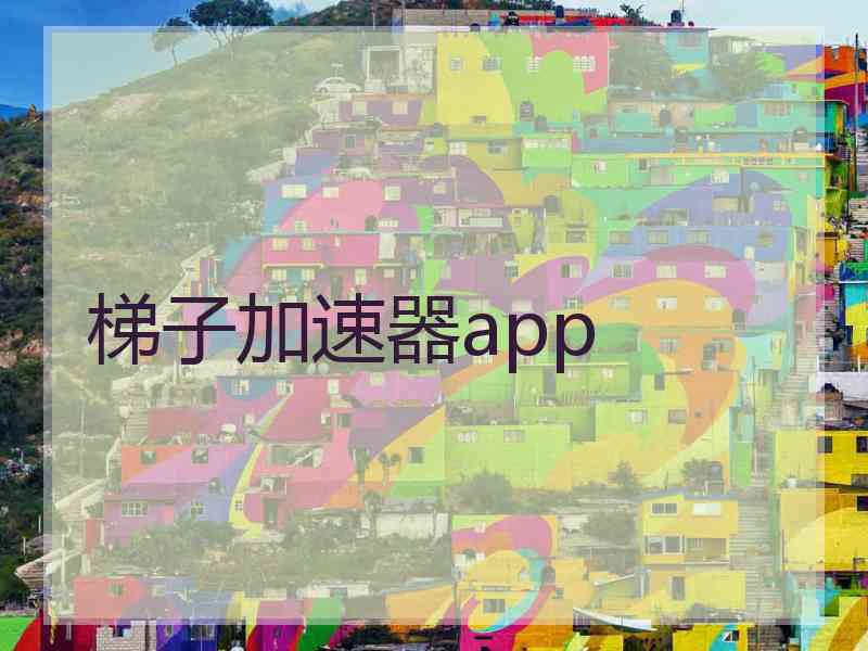 梯子加速器app