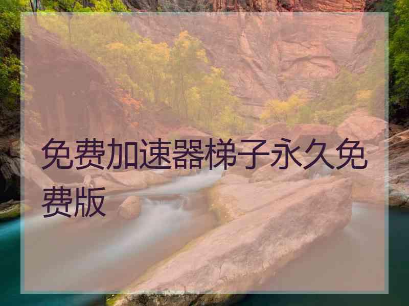 免费加速器梯子永久免费版