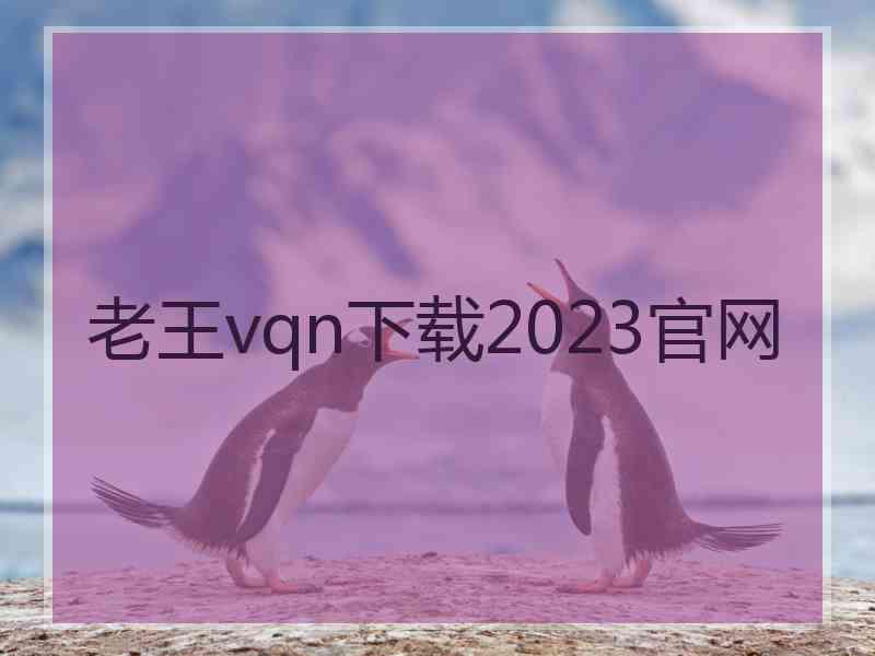 老王vqn下载2023官网