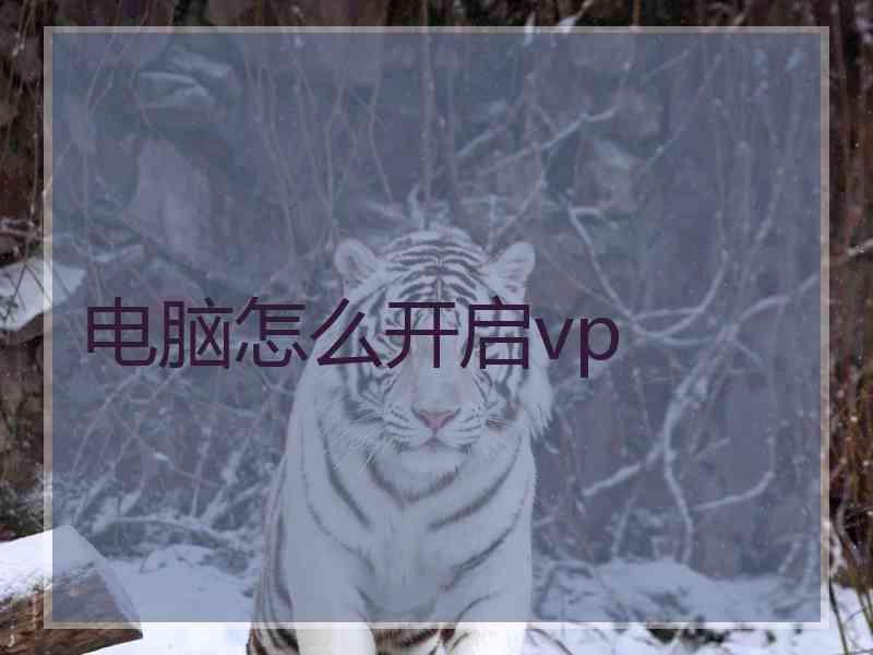 电脑怎么开启vp