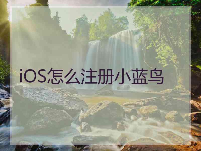 iOS怎么注册小蓝鸟