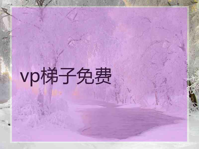 vp梯子免费