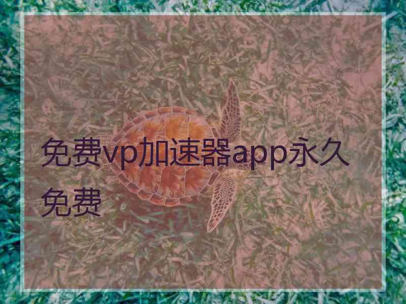 免费vp加速器app永久免费