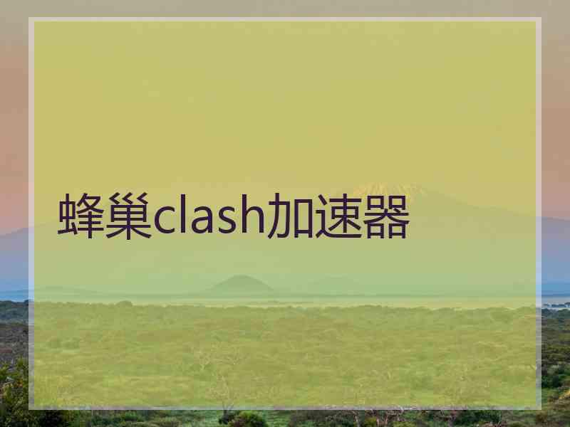 蜂巢clash加速器