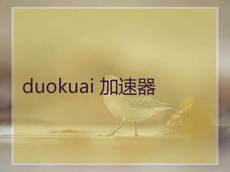 duokuai 加速器