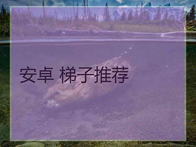 安卓 梯子推荐