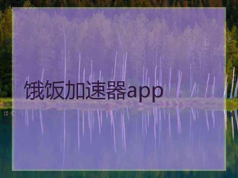 饿饭加速器app