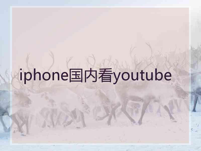 iphone国内看youtube