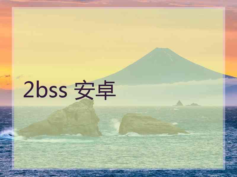 2bss 安卓