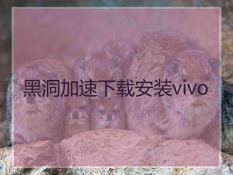 黑洞加速下载安装vivo