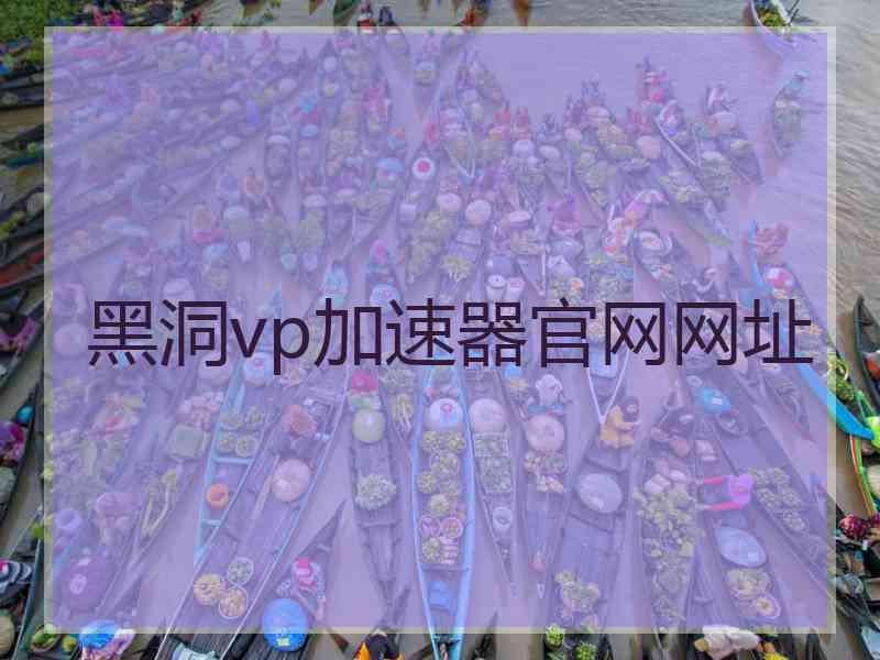 黑洞vp加速器官网网址