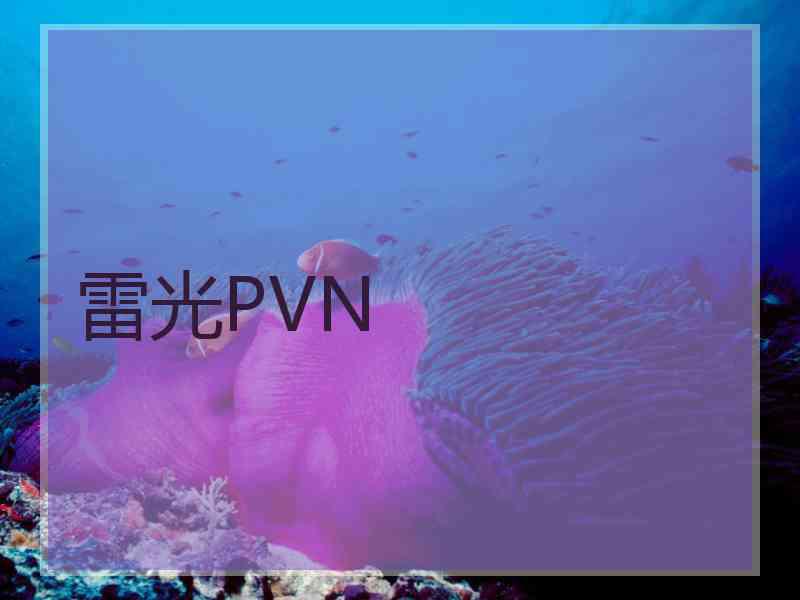 雷光PVN