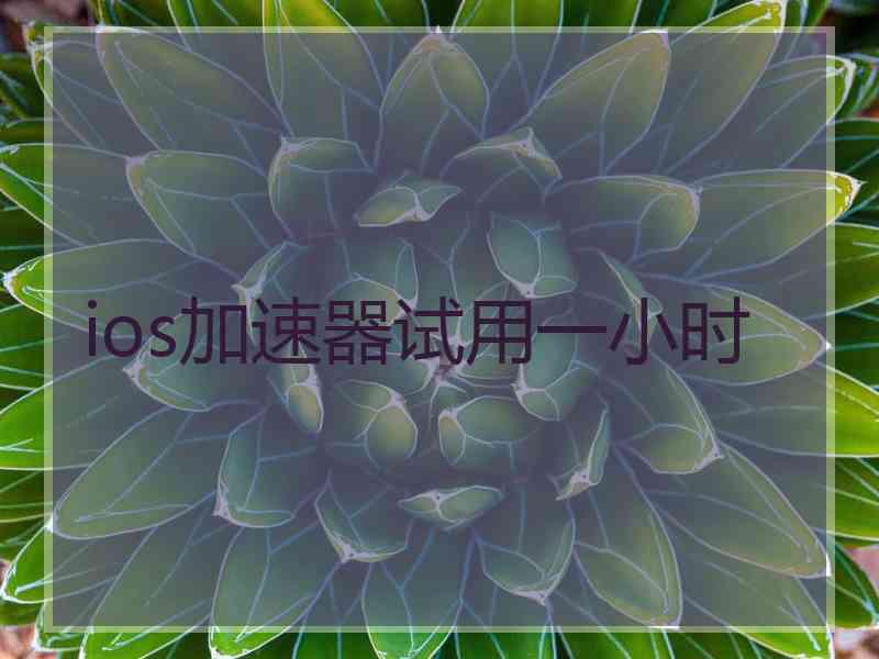 ios加速器试用一小时