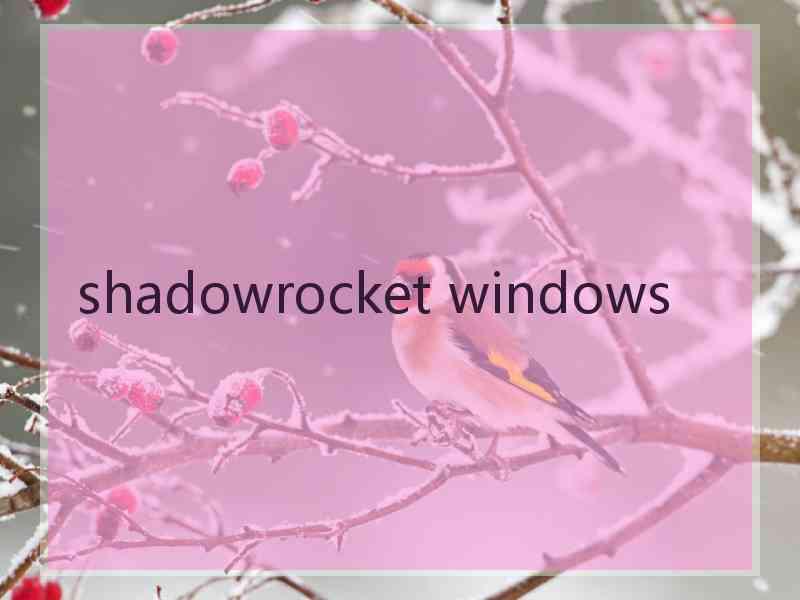 shadowrocket windows