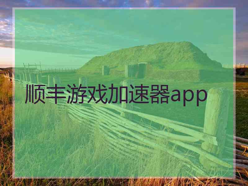 顺丰游戏加速器app