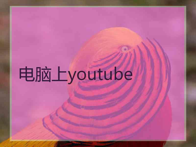 电脑上youtube