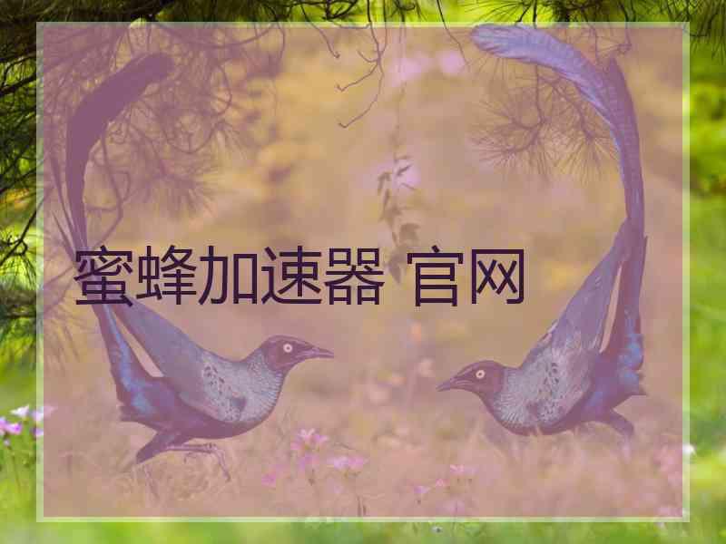 蜜蜂加速器 官网