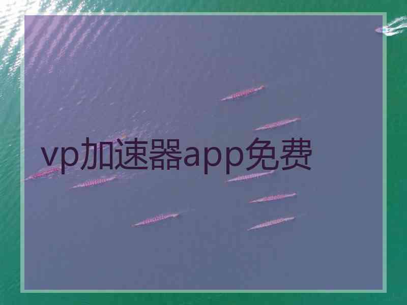 vp加速器app免费