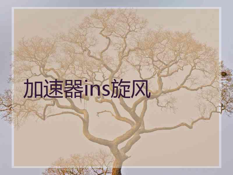 加速器ins旋风